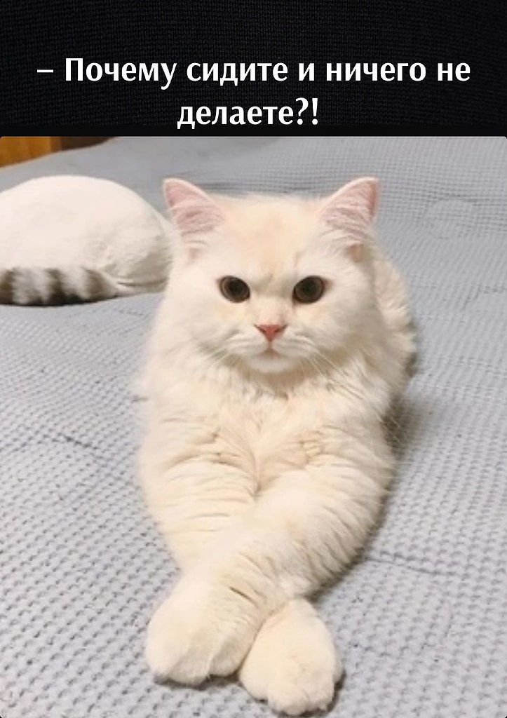      - 21  2023  11:37