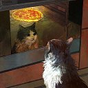 ���� �����, ����, 21 ��� - ��������� 13 ������ 2023 � ������ ���� ����������