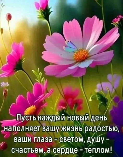  - 25  2023  15:02