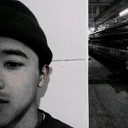 ���������, ����������, 23 ����