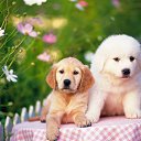 ���� ������, �����, 38 ��� - ��������� 26 ����� 2023 � ������ ���� ����������