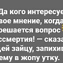 ���� ������, �������, 44 ���� - ��������� 2 ����� 2023 � ������ ���� ����������