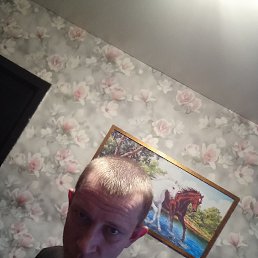 ����, �������, 40 ���