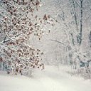 ���� �����, �����������, 60 ��� - ��������� 29 ���� 2023