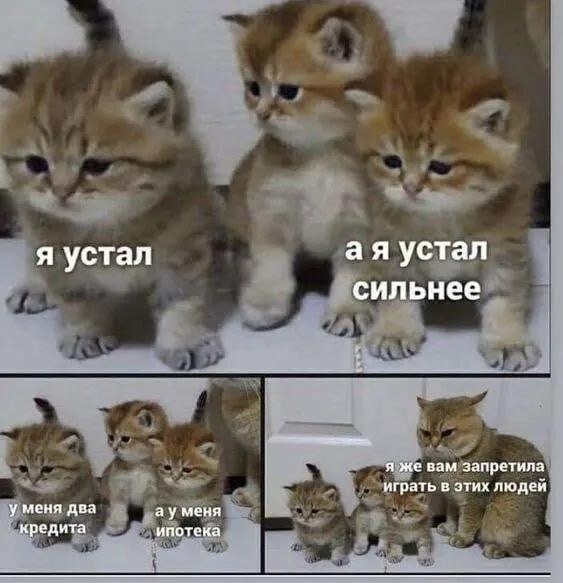 И вот человек мне рассказывает, как ему хочется переделаться в идеальное существо (которое всю жизнь ...