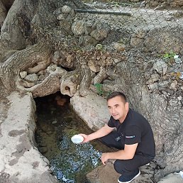 �����, �������, 46 ���