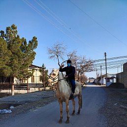 ���������, ������, 37 ���