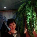 ���� ��������, ���������, 56 ��� - ��������� 9 ����� 2023