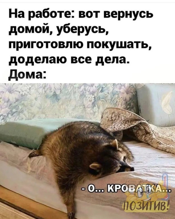 ☆ ☆ - 23  2023  22:33
