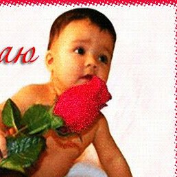 �, ������, 48 ���