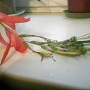 ���� ������, ������, 67 ��� - ��������� 2 ������� 2023 � ������ ���� ����������