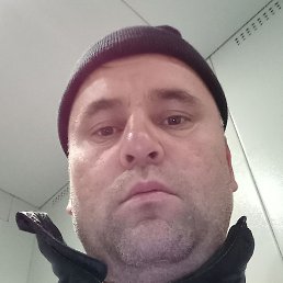 �����, ������, 37 ���