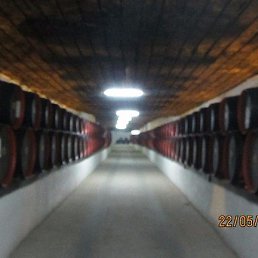 �������, ���������, 56 ���