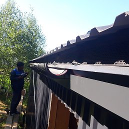 �����, ������, 37 ���