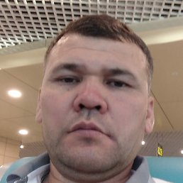 �����, ������, 43 ����