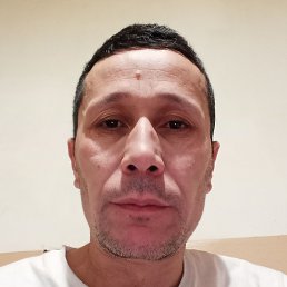 �����, ������, 48 ���