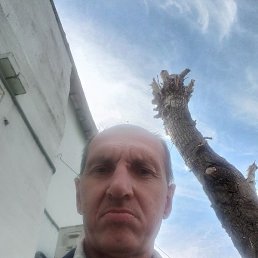 ,  , 55 