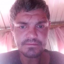 ����, ������, 39 ���