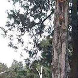 ����, ������, 29 ���