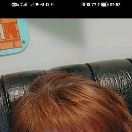 , 59, 