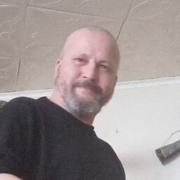 �����, ����������, 48 ���