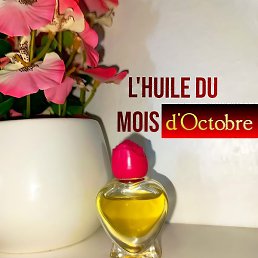 Ciara Chantal, �����������, 33 ����