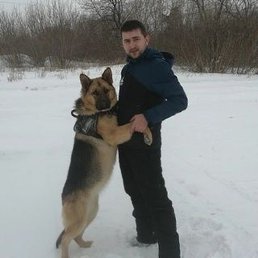 ����, �����-���������, 49 ���