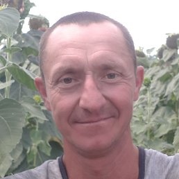 ��������, ���������, 44 ����