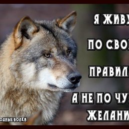 �����, �����-���������, 35 ���