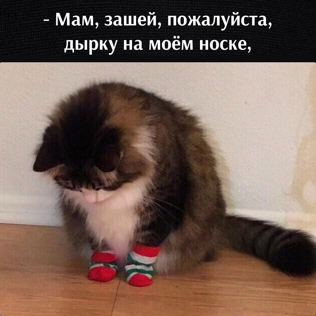       - 13  2023  12:34