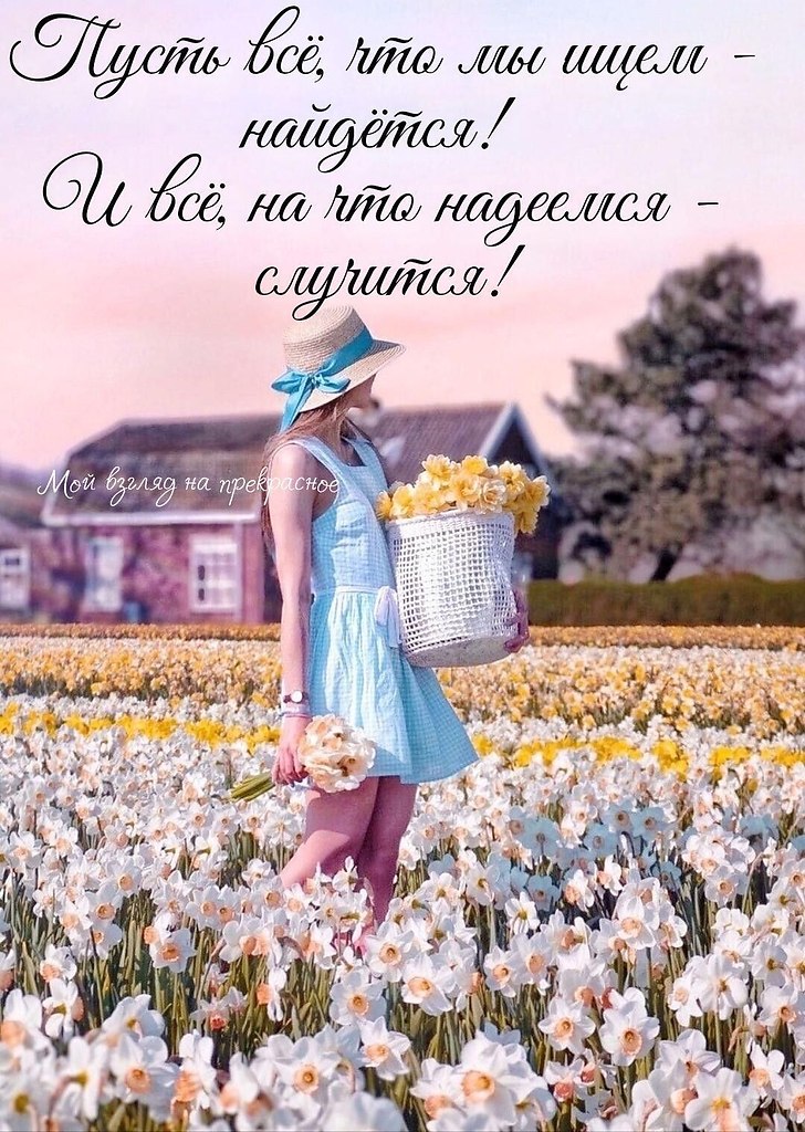   ,    . - 6  2023  23:05