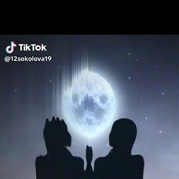 ��������, ���������, 40 ���