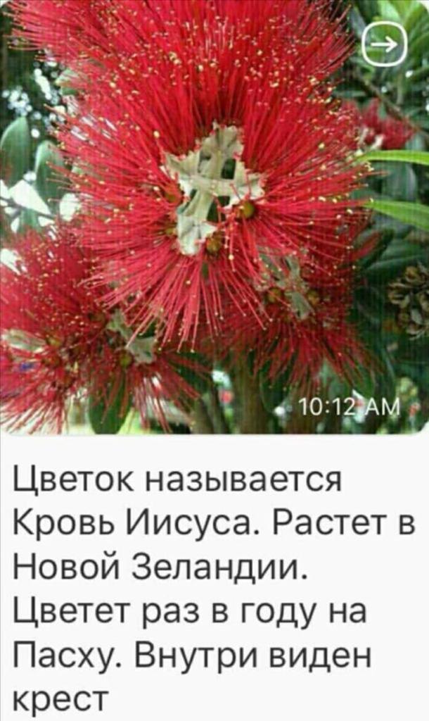  - 14  2023  19:54