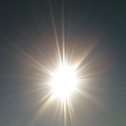 ���������, ������, 56 ���