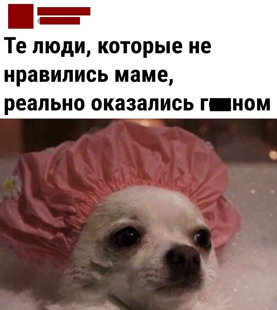  ,  .