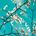 ���� ��������, �����-��������, 57 ��� - ��������� 22 ���� 2023