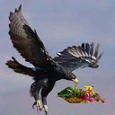 ���� �����, �����, 48 ��� - ��������� 21 ������� 2023