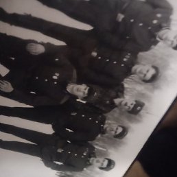 ������, ������, 51 ���