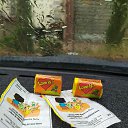  Tohir, , 33  -  26  2023