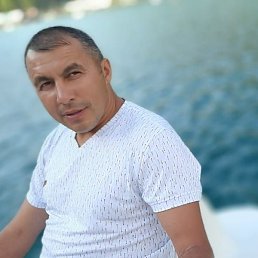 ����, �����������, 39 ���