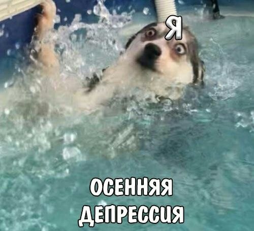    - 31  2023  12:26