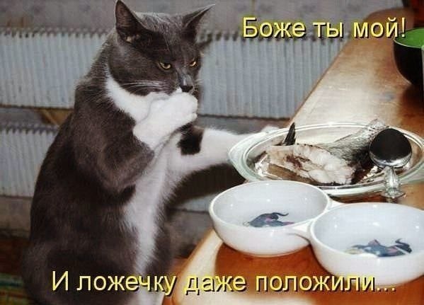    - 1  2023  04:29