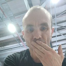 �����, �������, 41 ���