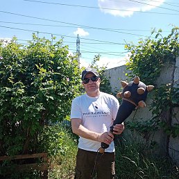 �������, ������, 40 ���