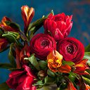 ���� ����, �������, 40 ��� - ��������� 18 ����� 2023 � ������ ���� ����������