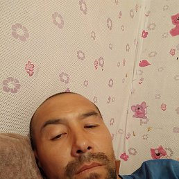 ���������, ���������, 43 ����