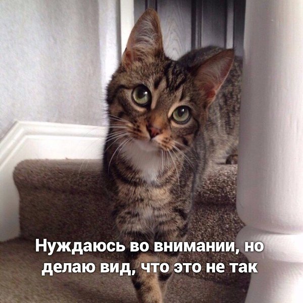    ? - 2