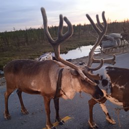 ���� �������, ������, 57 ��� - ��������� 5 �������� 2023