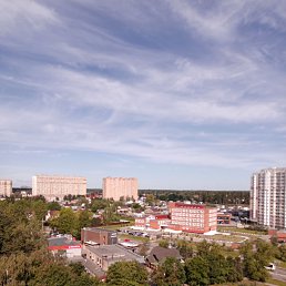 ���� �����, ���������, 41 ��� - ��������� 21 ���� 2023