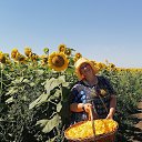 ���� �������, ������, 58 ��� - ��������� 25 ������� 2023 � ������ ���� ����������